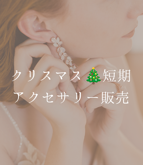 【12/1～12/31　クリスマスシーズン　アクセサリー販売　学生歓迎】のアイキャッチ画像